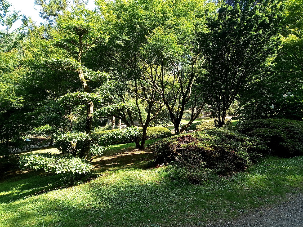 Jardin dans la Vienne