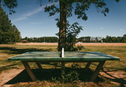 Ping pong